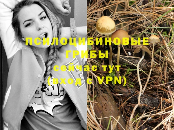 гидропоника Баксан